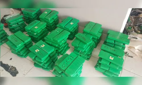 
							Polícia Civil de Maringá apreende mais de 600 quilos de maconha
						
						