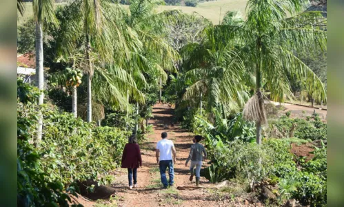 
							Açaí produzido com sabor do Vale do Ivaí
						
						