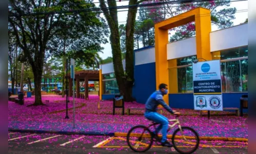 
							Centro da cidade de Arapongas recebe 'Chuva de flores'
						
						
