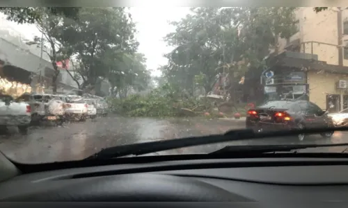 
							Tempestade chega nas próximas horas no norte do PR
						
						
