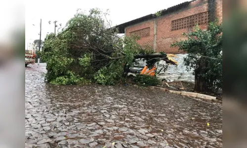 
							Tempestade chega nas próximas horas no norte do PR
						
						