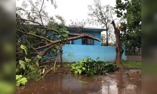 
							Tempestade chega nas próximas horas no norte do PR
						
						