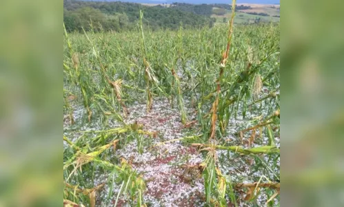 
							Chuva de granizo assusta moradores da região
						
						