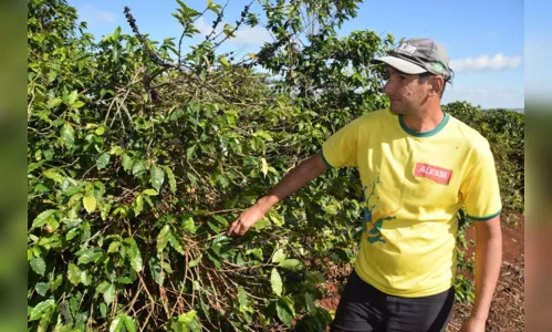 
							Chegada do frio preocupa produtores rurais no Vale do Ivaí
						
						