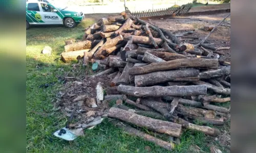 
							Empresário de Apucarana é multado após flagrante de corte ilegal de madeira
						
						