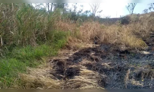 
							Sitiante é multado em R$ 5 mil após atear fogo em área agropastoril
						
						