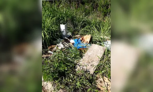 
							GCM registra descarte irregular de móveis e tecidos em Apucarana
						
						