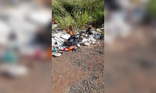 
							GCM registra descarte irregular de móveis e tecidos em Apucarana
						
						