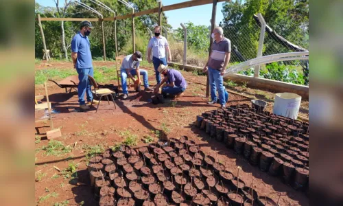 
						
							Viveiro de mudas comunitário fortalece a agricultura familiar em Jardim Alegre
						
						