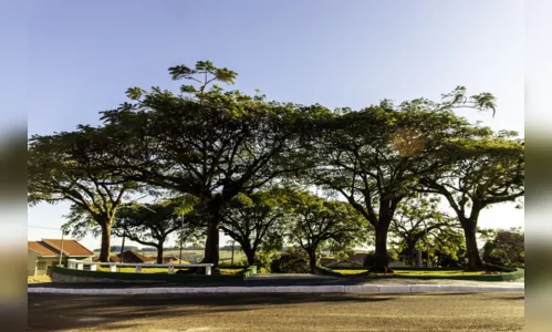 
							Prefeitura de Cambira revitaliza praça Jordão Beleze
						
						