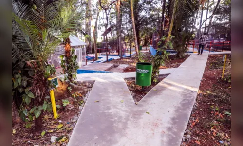 
							Prefeitura revitaliza Bosque Municipal de Apucarana
						
						