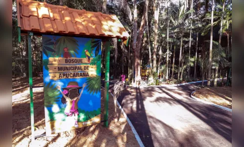 
							Prefeitura revitaliza Bosque Municipal de Apucarana
						
						