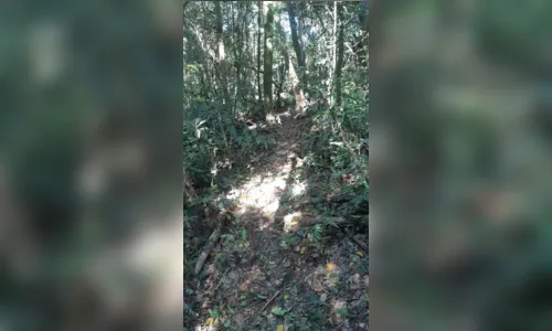 
							Apucaranense é multado em R$47 mil por destruir vegetação
						
						