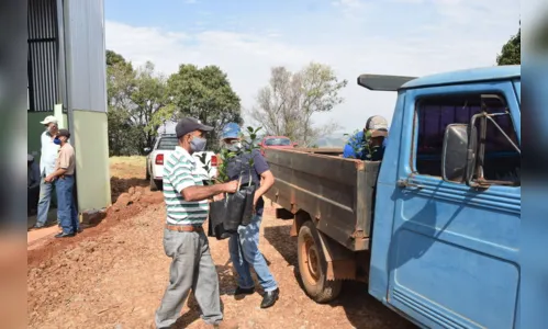 
						
							Agricultores familiares de Ivaiporã recebem mudas de citros
						
						