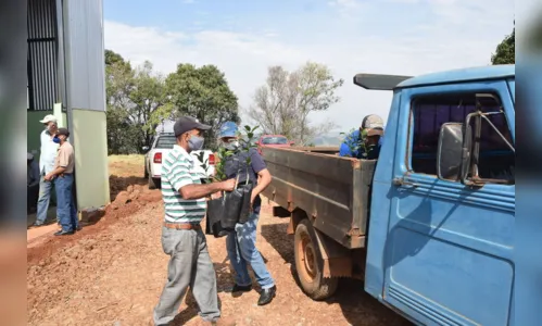 
							Agricultores familiares de Ivaiporã recebem mudas de citros
						
						