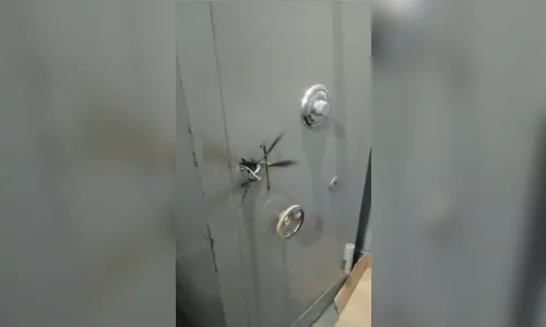 
							Dupla é presa após arrombar cofres de supermercado em Jandaia
						
						