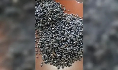 
							Maconha escondida em feijão surpreende agentes de cadeia em Apucarana
						
						