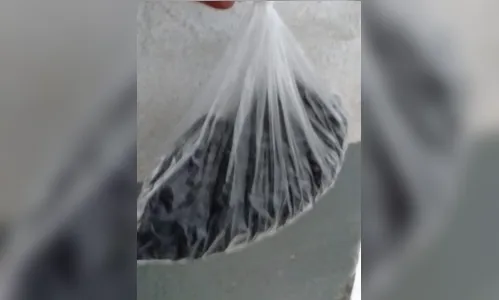 
							Maconha escondida em feijão surpreende agentes de cadeia em Apucarana
						
						