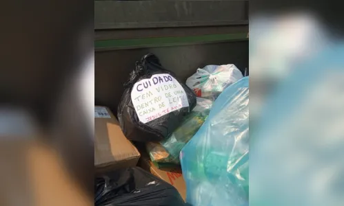 
							Apucaranense dá exemplo na hora de separar o lixo
						
						