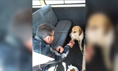 
							Operação conjunta em Apucarana apura maus-tratos em animais
						
						