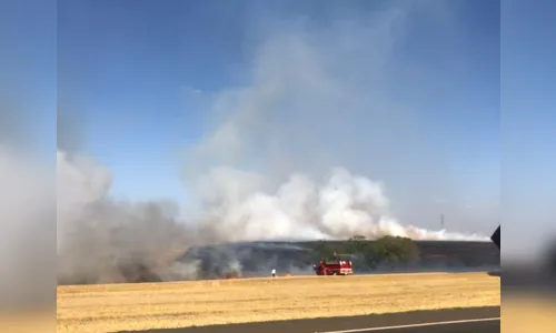
							Bombeiros de Arapongas combatem incêndio as margens da BR 369
						
						