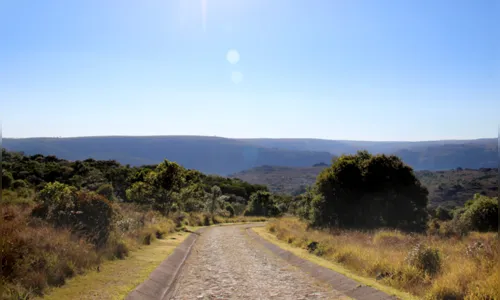 
							Canyon Guartelá; a 200 km de Apucarana, conta com banheiras naturais e é o 6º maior cânion do mundo
						
						