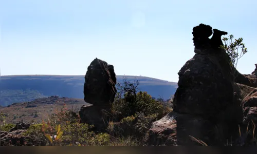 
							Canyon Guartelá; a 200 km de Apucarana, conta com banheiras naturais e é o 6º maior cânion do mundo
						
						