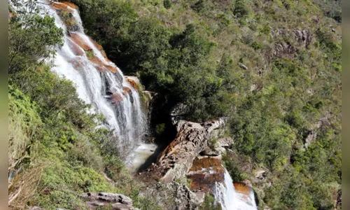 
							Canyon Guartelá; a 200 km de Apucarana, conta com banheiras naturais e é o 6º maior cânion do mundo
						
						