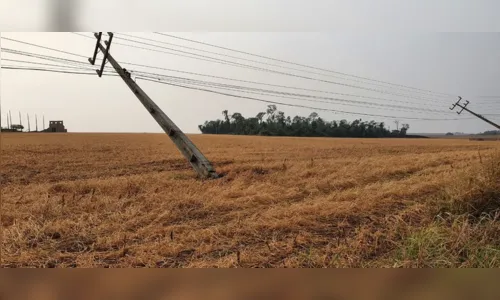 
							Temporal e chuva de granizo derrubam postes e árvores no Paraná
						
						