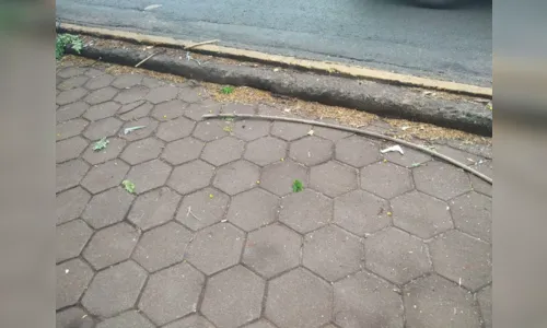 
							Fio de alta tenção se rompe na Avenida Governador Roberto da Silveira
						
						