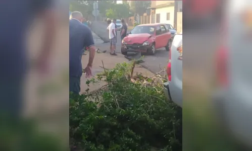 
							Colisão entre carro e caminhonete deixa uma pessoa ferida em Arapongas
						
						