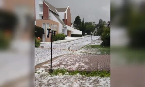 
							Vídeos e fotos de chuva de granizo em Curitiba viralizam; novo temporal é previsto
						
						