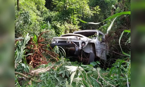
							Motorista perde o controle da direção, atinge árvore e vai parar em barranco
						
						