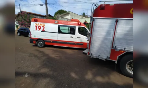 
							Motorista perde o controle da direção, atinge árvore e vai parar em barranco
						
						
