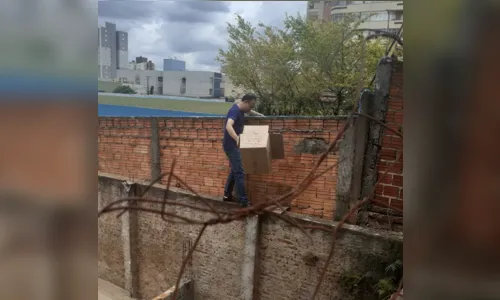 
							Filhotes de gatos que estavam presos em vão de parede são resgatados
						
						