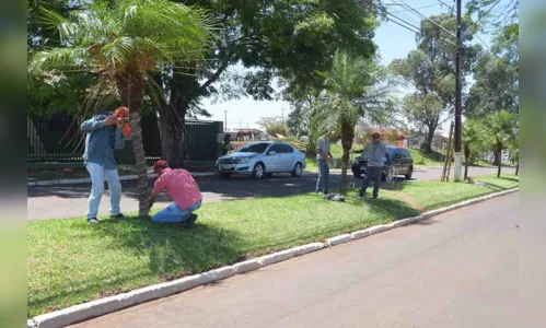 
							Jardim Alegre prepara decoração de natal com muitas luzes
						
						