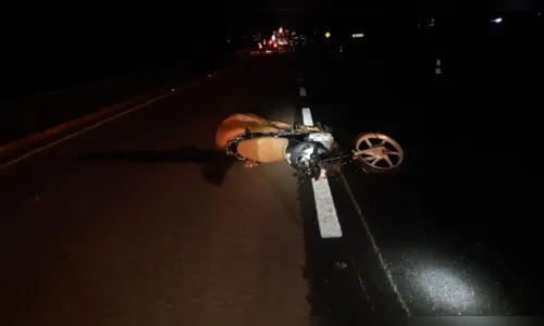 
							Cavalos na pista provocam acidente na BR 369; 4 pessoas ficam feridas
						
						