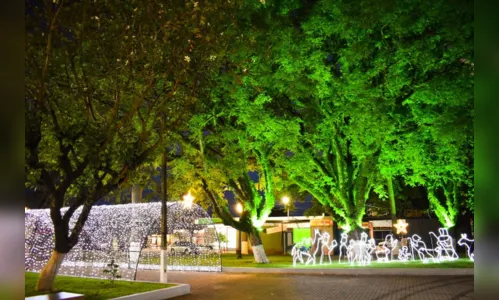 
						
							Decoração de Natal com muitas luzes e cores em Lunardelli
						
						