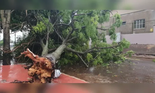 
							Chuva causa estragos em cidades do Paraná; Fotos
						
						