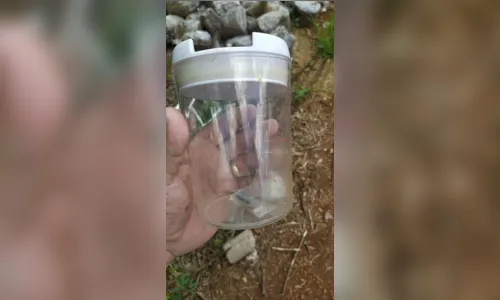 
							Polícia Civil e Polícia Militar apreendem drogas durante operação
						
						