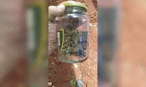
							Polícia Civil e Polícia Militar apreendem drogas durante operação
						
						