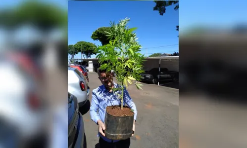 
							Polícia Civil encontra grande pé de maconha em casa de jovem
						
						