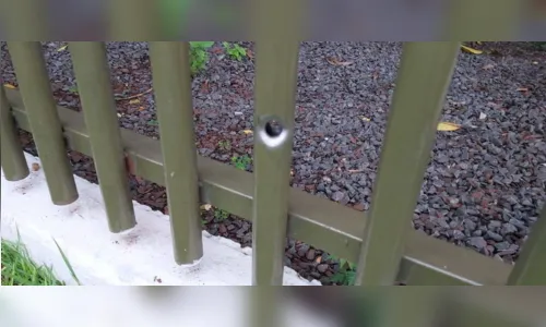 
							Suspeitos de invadirem residência morrem em confronto com a PM nesta madrugada
						
						