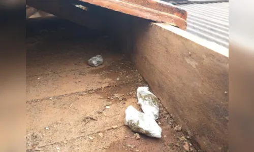 
							Polícia Militar encontra entorpecentes e munições em casa abandonada; Vídeo
						
						