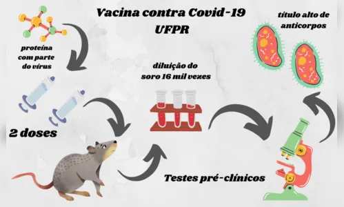 
							Vacina para Covid-19 desenvolvida no PR se mostra mais eficaz que a de Oxford
						
						