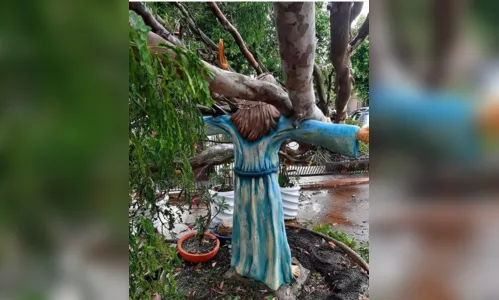
							Imagem de Jesus resiste à queda de árvore após temporal no Paraná
						
						