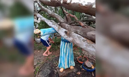 
							Imagem de Jesus resiste à queda de árvore após temporal no Paraná
						
						