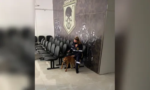 
							Homem é preso por usar pitbull e esqueleto para atacar e ameaçar pessoas
						
						