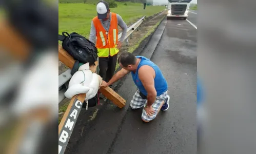 
						
							Devoto que carrega cruz para pagar promessa passa pela Castelo Branco
						
						