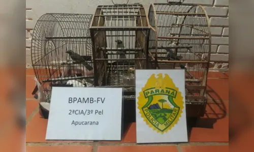 
							Polícia Ambiental apreende aves, além de animais abatidos em propriedade rural
						
						